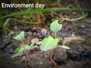 विश्व पर्यावरण दिवस 5 june world environment day ✅✅✅