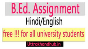 B.Ed. assignment pdf download hindi