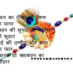 latest Raksha Bandhan shayari hindi 30+ रक्षा बंधन शायरी हिंदी